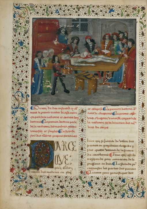 Guy de Chauliac, {La Grande chirurgie}