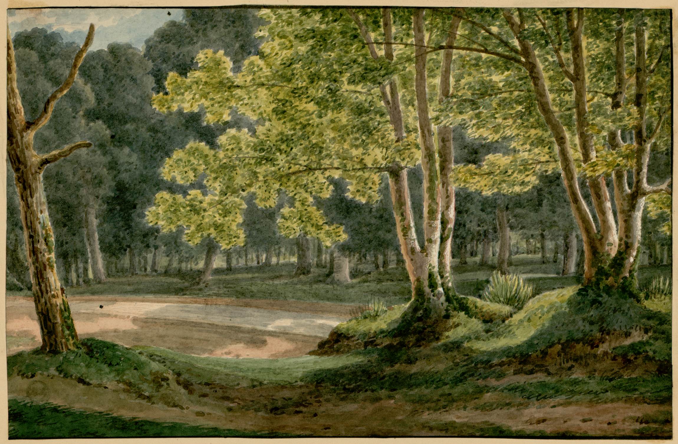 L'image montre un paysage paisible, probablement une forêt ou un bosquet. On peut y voir des arbres aux feuillages verdoyants, avec des troncs de couleur claire. À l'arrière-plan, la lumière filtre à travers les branches, créant une ambiance sereine. Un ruisseau ou un étang est visible à gauche, ajoutant une touche d'eau à la scène. Le sol semble légèrement vallonné, avec des herbes et des plantes qui entourent les arbres, renforçant l'impression d'un environnement naturel et tranquille.