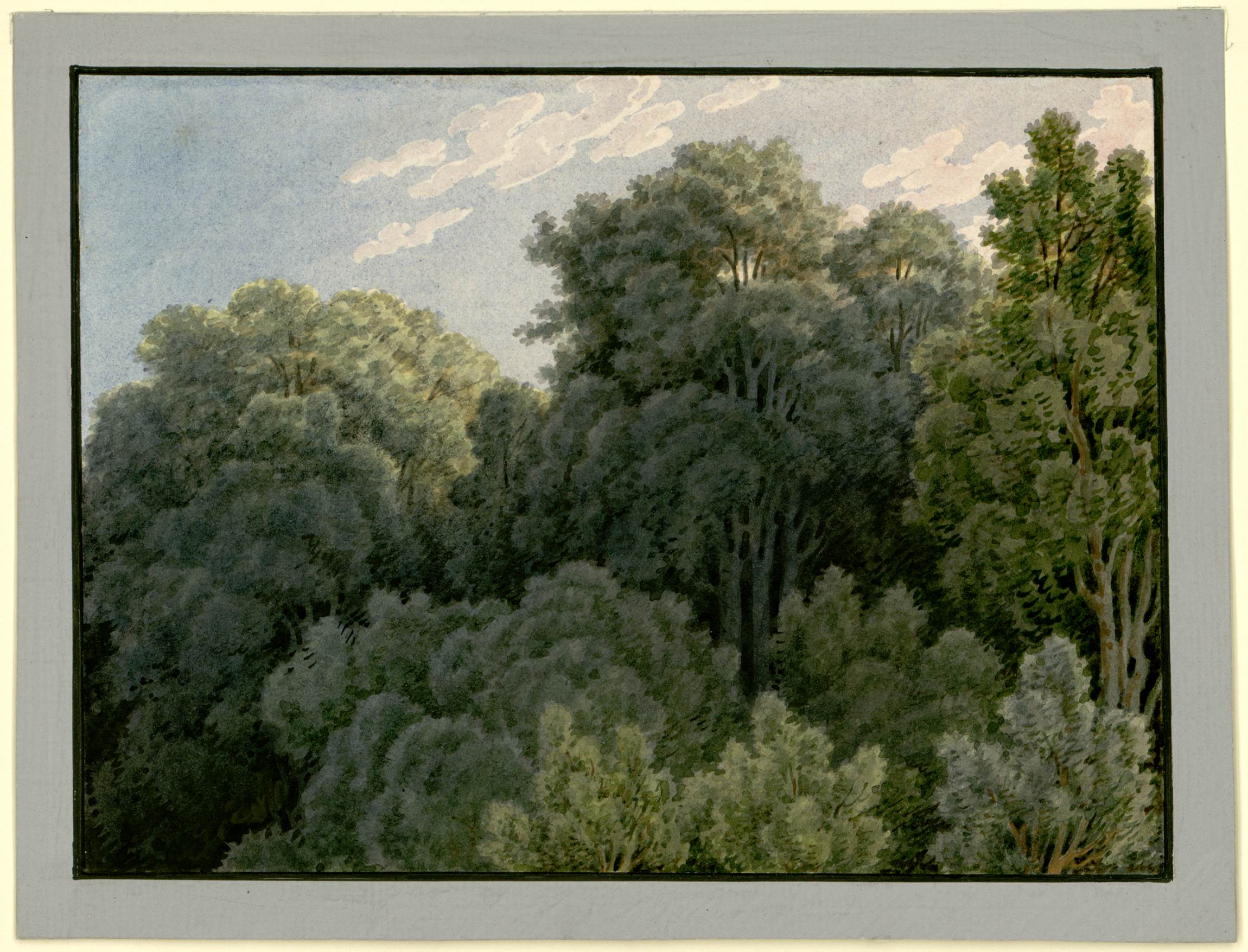 Cette image représente un paysage forestier luxuriant, avec des arbres denses et touffus. La peinture utilise des nuances de vert pour évoquer la richesse de la végétation, tandis que quelques touches de lumière suggèrent un ciel partiellement nuageux. Les branches et les feuillages créent une ambiance calme et sereine, invitant à la contemplation de la nature.