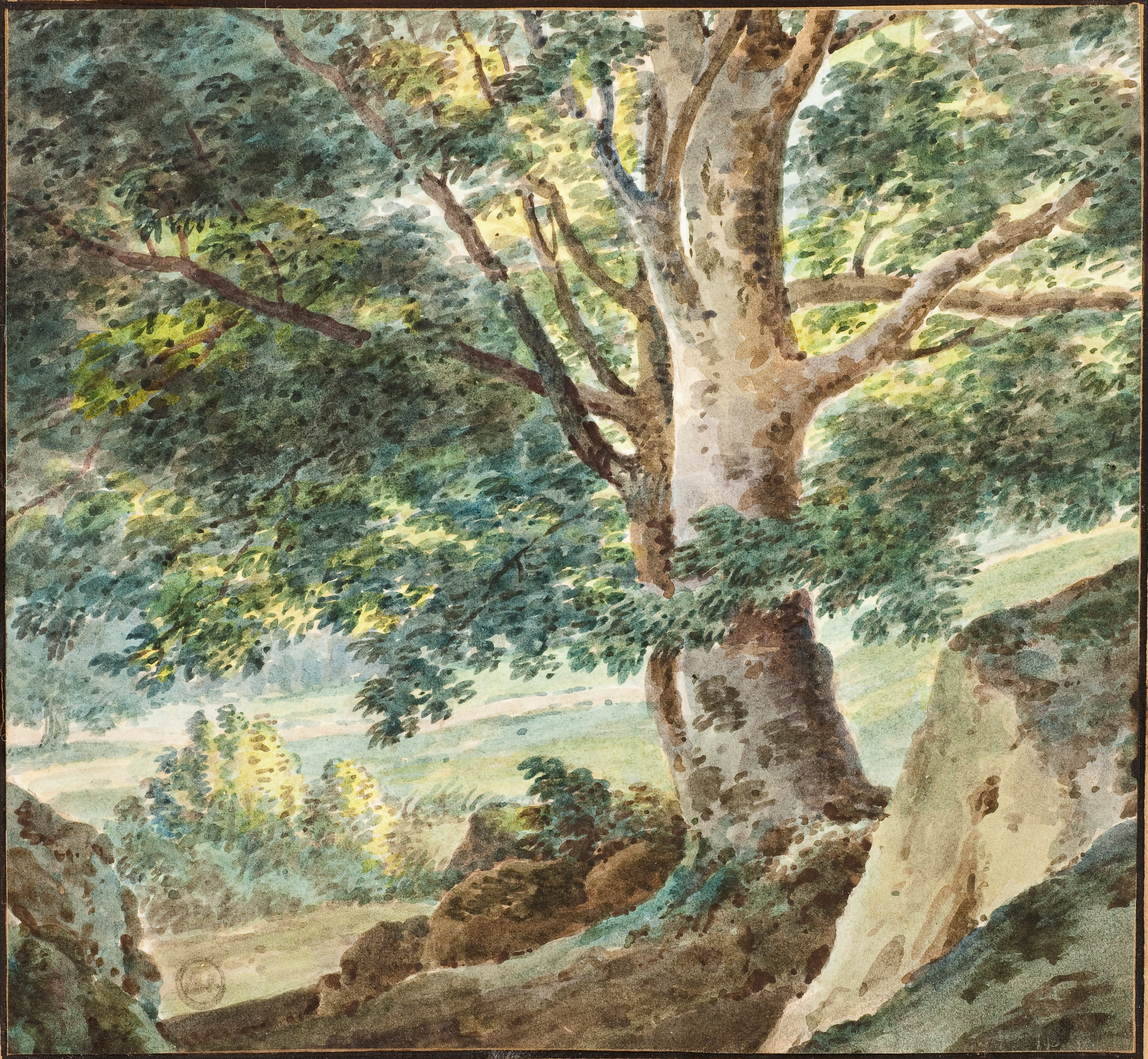L'image représente un paysage naturel avec un grand arbre aux feuilles luxuriantes. On distingue des rochers qui encadrent la scène, et l'arrière-plan montre des collines verdoyantes baignant dans une lumière douce. Les couleurs aquarelles apportent une sensation de sérénité et de fraîcheur, capturant la beauté tranquille de la nature.