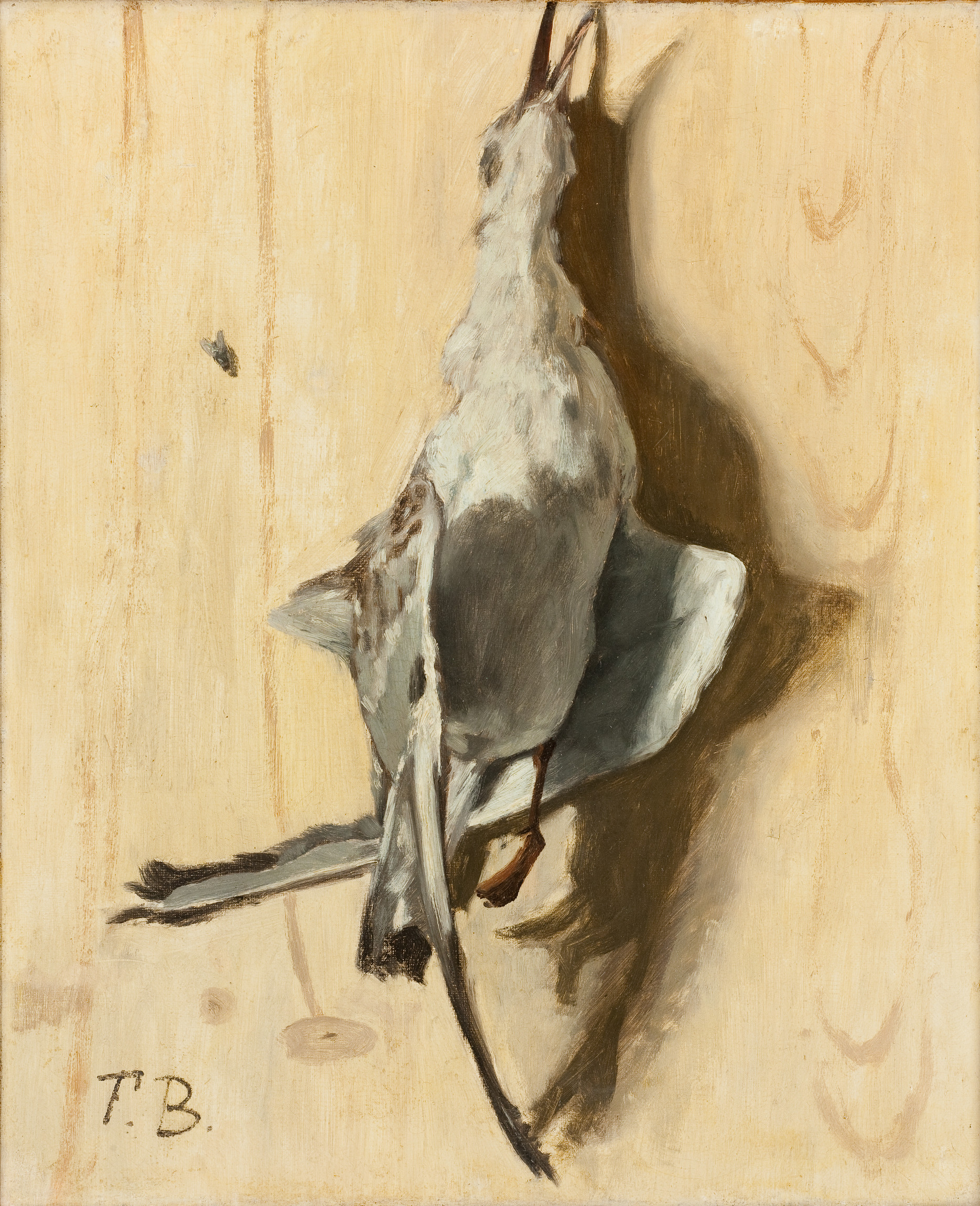 L'image représente un tableau d'un oiseau mort. L'oiseau est représenté, probablement sur un fond clair, avec des détails réalistes qui mettent en valeur son plumage et sa posture. La lumière crée une ombre délicate sur le fond, ajoutant de la profondeur à la composition. L'œuvre semble évoquer des thèmes de nature morte, soulignant à la fois la beauté et la fragilité de la vie. Les coups de pinceau et la texture du tableau témoignent d'un certain savoir-faire artistique.