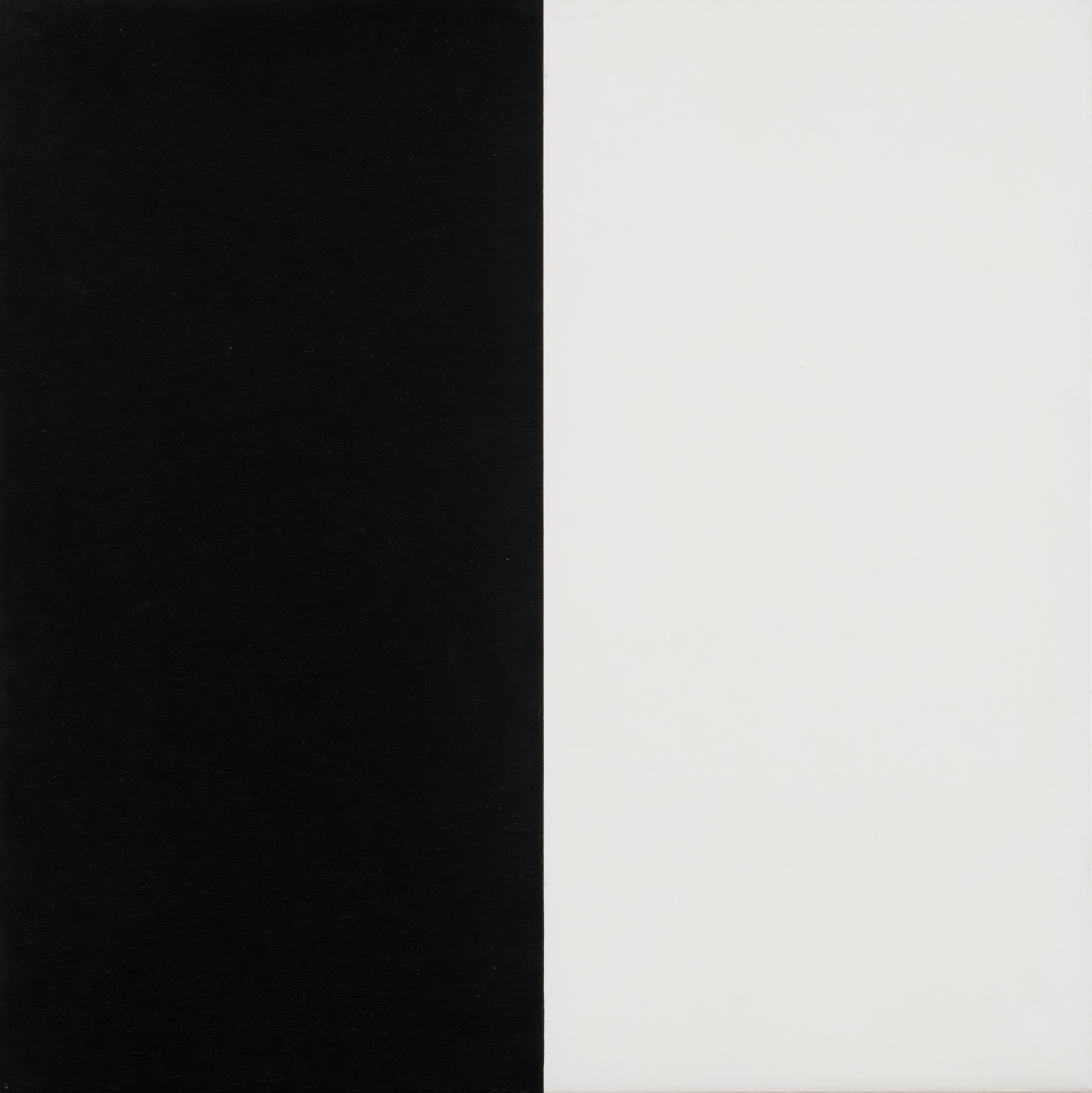 Cette image représente une composition minimaliste divisée verticalement en deux parties égales. La moitié gauche est entièrement noire, tandis que la moitié droite est entièrement blanche. Cette œuvre joue sur le contraste entre les deux couleurs, créant une impression de dualité et d'harmonie visuelle. La simplicité des formes met en avant l'interaction entre la lumière et l'ombre.