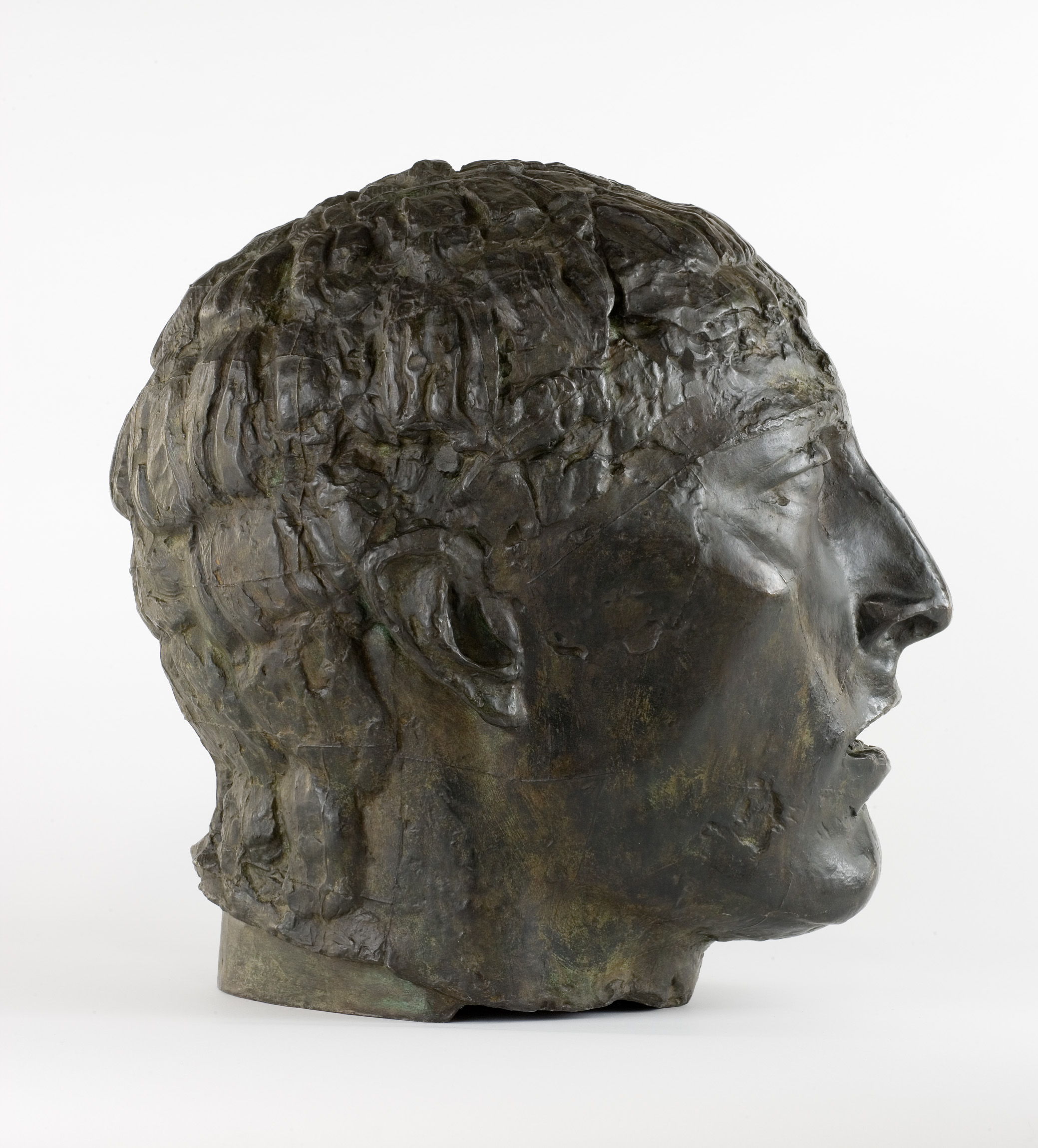 L'image montre une sculpture en bronze représentant un visage masculin de profil. La sculpture présente des détails texturés, notamment des cheveux ondulés et une expression sérieuse. La finition du bronze est patinée, ce qui lui donne un aspect ancien et artistique. Le socle est légèrement visible, ce qui indique que c'est une pièce d'art statuaire.
