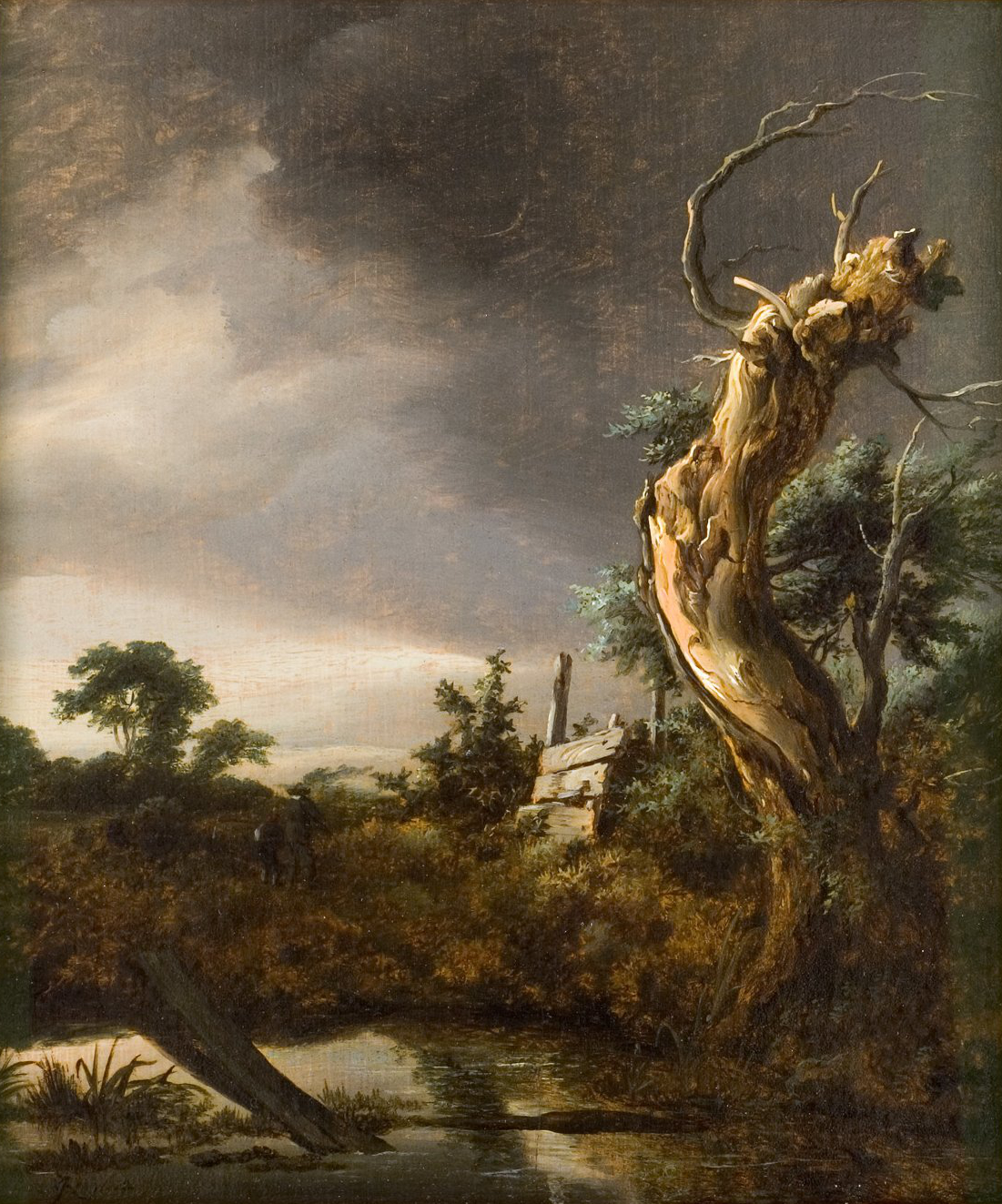 L'image représente un paysage sombre et dramatique. Au premier plan, un arbre mort aux branches tordues attire l'œil, se dressant contre un ciel nuageux et menaçant. La lumière semble filtrer à travers les nuages, créant un contraste avec les ombres environnantes. On peut également apercevoir une végétation luxuriante autour d'un petit plan d'eau, ajoutant une touche de vie à ce tableau mélancolique. À l'arrière-plan, on distingue des collines et des silhouettes d'arbres, renforçant l'ambiance de solitude et de nature sauvage.