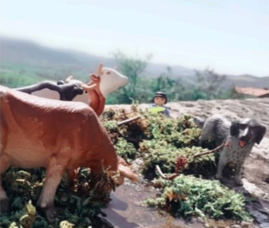 L'image montre une petite scène en plein air avec des figurines. On y voit plusieurs vaches en plastique, dont une brune et blanche, et un garçon également en plastique. À proximité, il y a un chien en plastique qui semble surveiller la scène. Le sol est couvert de mousse ou de petites plantes vertes, et on peut apercevoir un paysage flou avec des collines en arrière-plan. Il semble s'agir d'un décor rural.