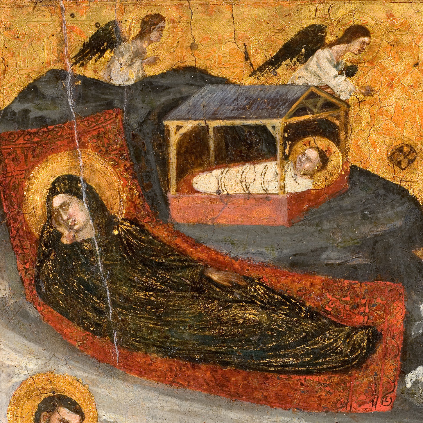 Devinette botanique 3