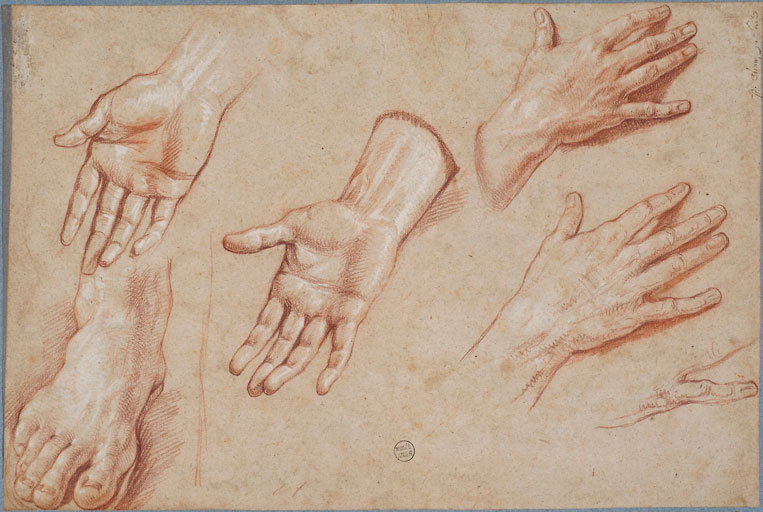 Etudes de main (5) et de pied, 1re moitié du 17e siècle Sanguine et rehauts de blanc Montpellier, Université de Montpellier, musée Atger Inv. MA 90, classé au titre des Monuments Historiques le 25/01/1913