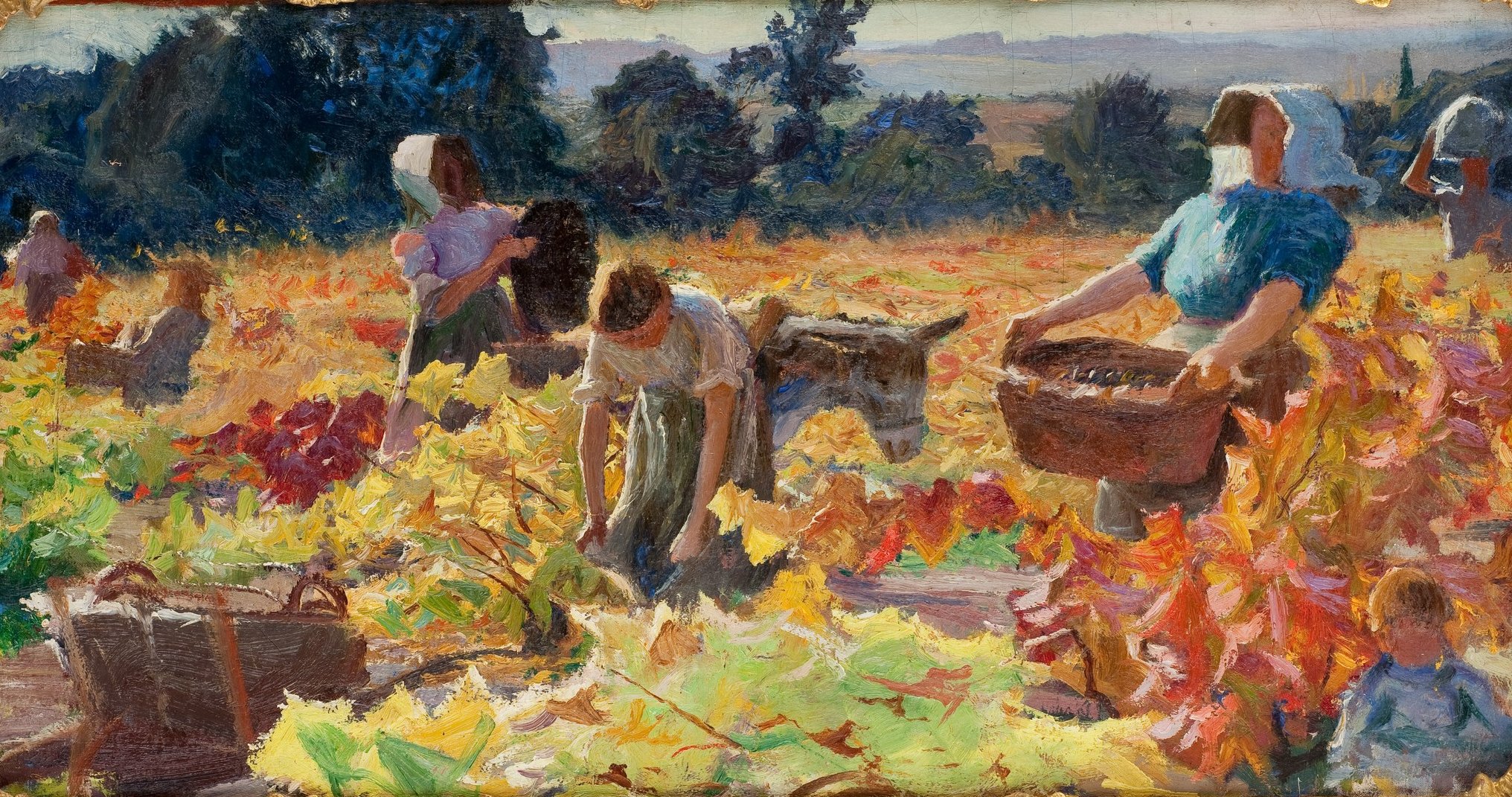 L'image représente une scène de récolte dans un vignoble. On y voit plusieurs personnes au travail, vêtues de vêtements traditionnels, qui s'activent parmi les vignes aux feuilles colorées, évoquant l'automne. Certains collectent des raisins dans des paniers, tandis que d'autres sont accroupis, se concentrant sur la cueillette. En arrière-plan, on aperçoit un paysage rural avec des collines qui ajoutent à l'ambiance bucolique. La lumière du soleil crée une atmosphère chaleureuse, mettant en valeur les couleurs des feuilles et des vêtements des travailleurs.