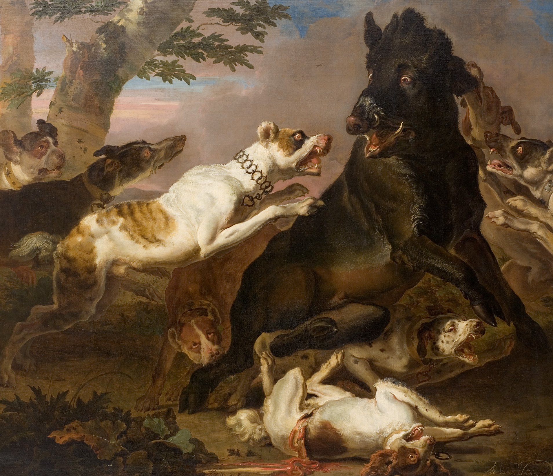 L'image représente une scène animalière dramatique, où plusieurs chiens sont en train d'attaquer un grand animal noir, probablement un sanglier. Au premier plan, un chien blanc et brun semble se précipiter vers l'animal tandis qu'un autre chien gît au sol. Les expressions des animaux montrent une certaine agitation et tension, comme si une chasse ou un combat se déroulait. Le fond présente un paysage naturel, avec des arbres et un ciel qui dénote un moment de la journée. La composition évoque un mélange d'énergie et de chaos.