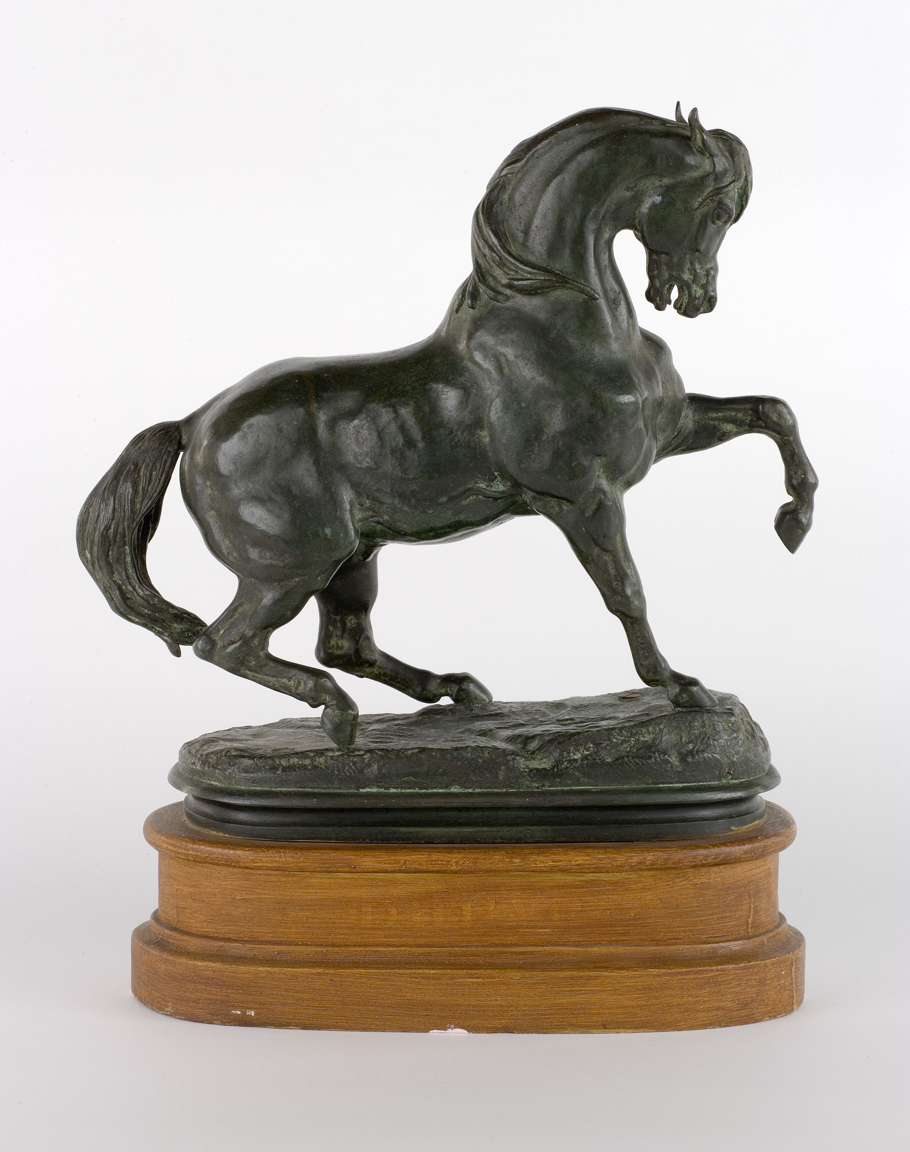 L'image montre une sculpture en bronze d'un cheval. Le cheval est représenté en train de se dresser sur ses pattes arrière avec élégance, affichant une musculature détaillée et une expression dynamique. La sculpture repose sur une base en bois, ce qui met en valeur le mouvement et la posture majestueuse de l'animal. Les finitions montrent un travail minutieux, soulignant la beauté et la puissance du cheval.