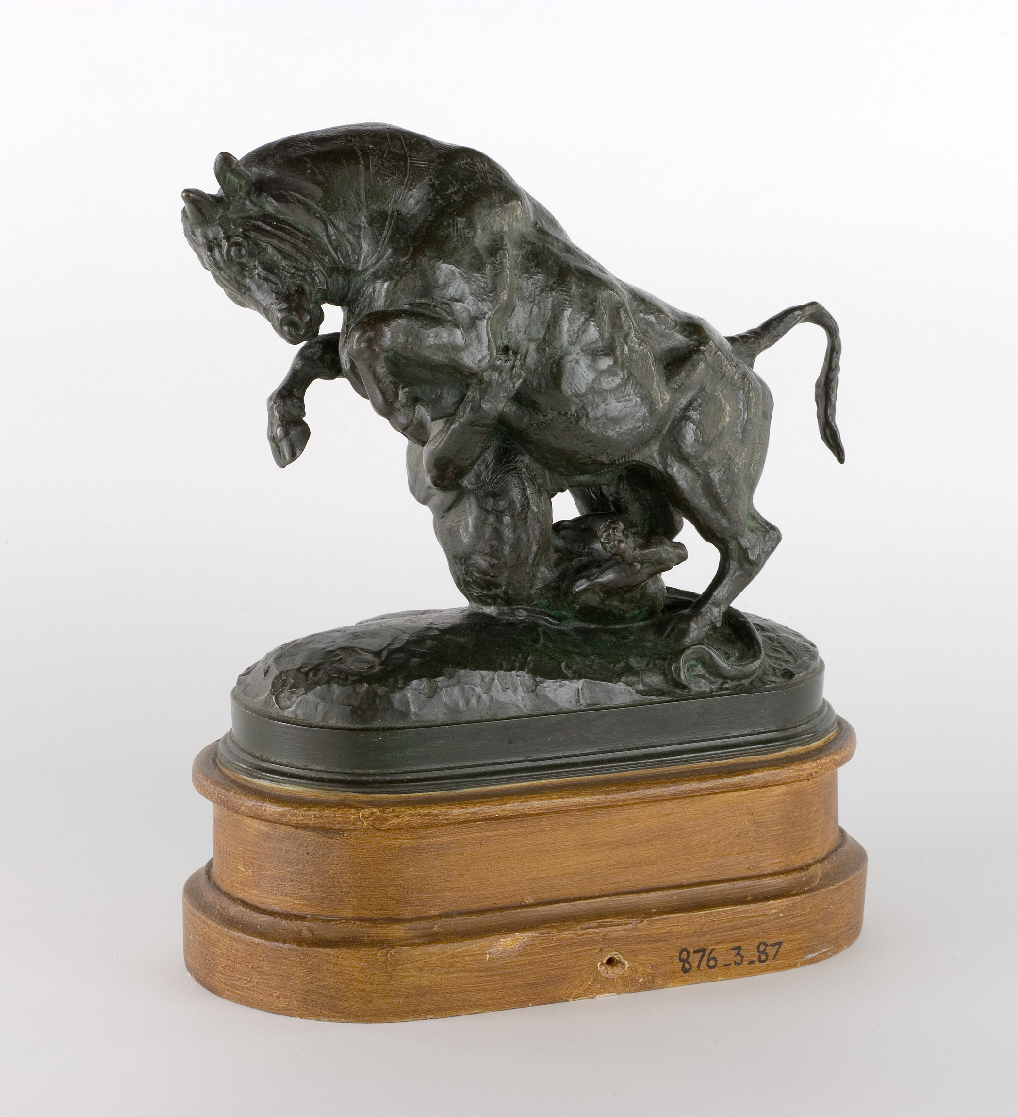 L'image montre une sculpture en bronze d'un taureau. Le taureau est représenté dans une posture dynamique, tendant à se cabrer, avec une expression puissante. La sculpture est fixée sur une base en bois, ce qui ajoute une touche élégante à l'ensemble. La texture du bronze est bien travaillée, mettant en valeur les détails musculaires de l'animal. L'œuvre semble évoquer la force et la vitalité du taureau.