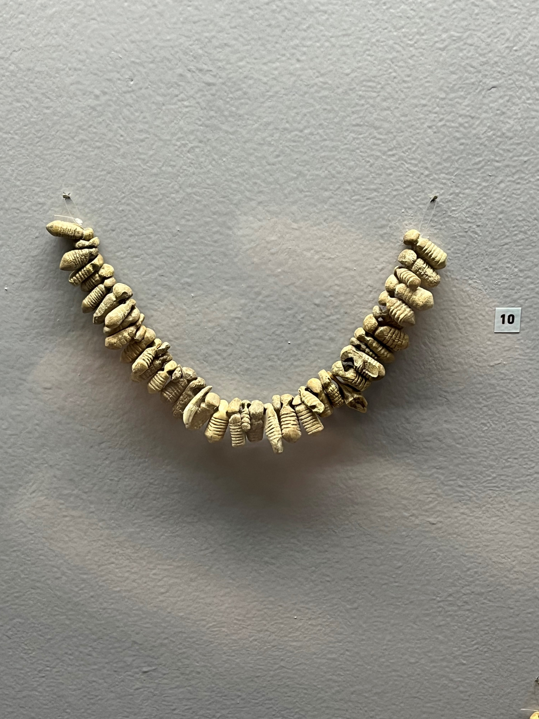 L'image montre une guirlande composée de plusieurs éléments blancs disposés en arc. Ces éléments semblent être des coquilles ou des coquillages, accrochés ensemble. La guirlande est suspendue sur un mur de couleur grise. À droite de l'image, il y a un petit panneau numéroté "10". L'ensemble donne une impression d'artisanat ou d'exposition muséale.