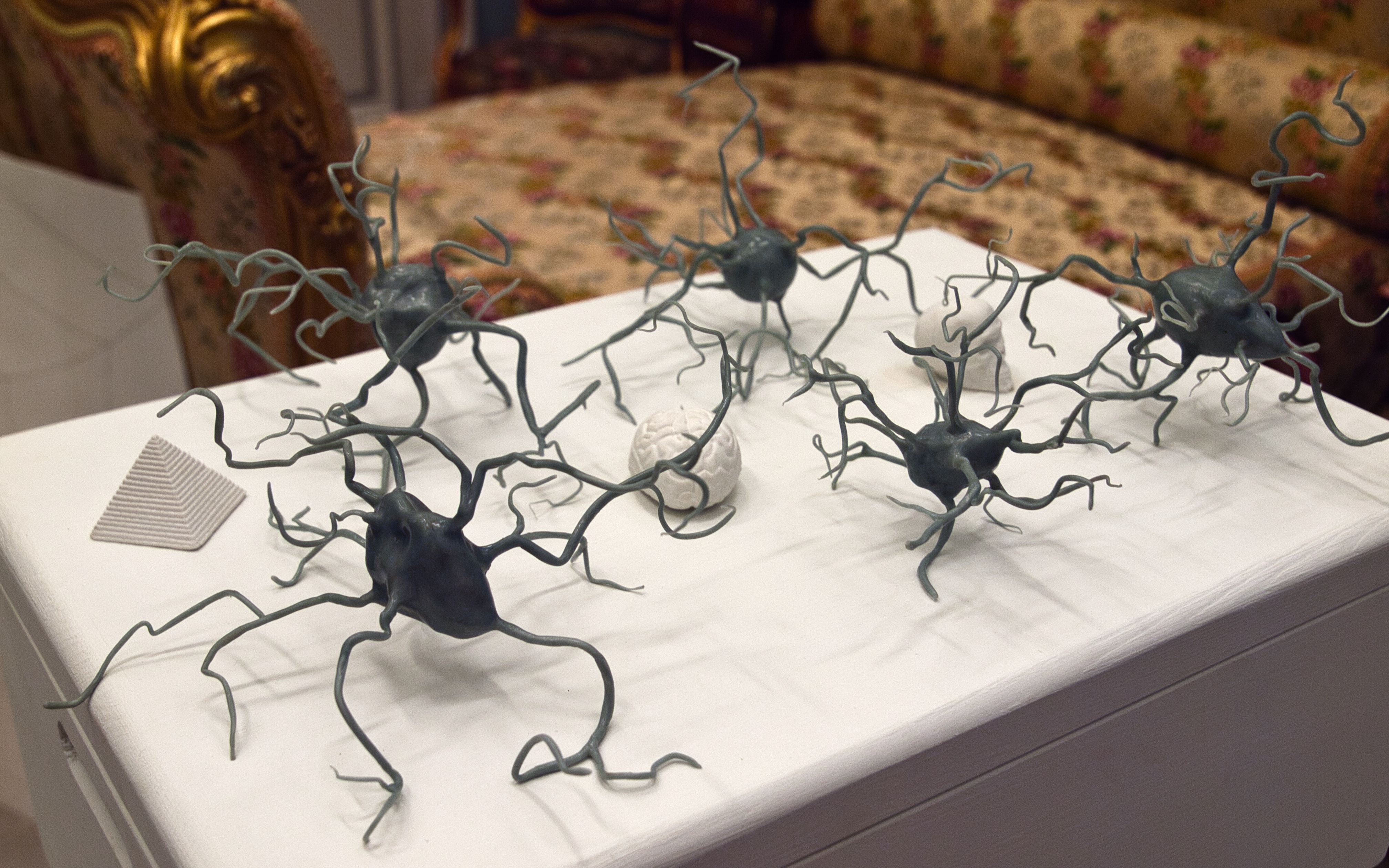 L'image montre une installation artistique représentant des neurones. Ces sculptures, en métal ou en un matériau similaire, ont une forme organique avec de nombreux prolongements, simulant les dendrites et axones des neurones. L'environnement est élégant, avec un canapé décoré en arrière-plan, et quelques objets disposés sur la table, ajoutant un contraste avec les pièces artistiques. L'ensemble crée une atmosphère à la fois scientifique et esthétique.