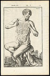 Adriani Spigelii Bruxellensis... Anatomica, operum omnium. T. I-II Date : Amsterdami, apud Johannem Blaev, 1645