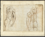 Anatomia di mano del Cigoli, XVIe siècle