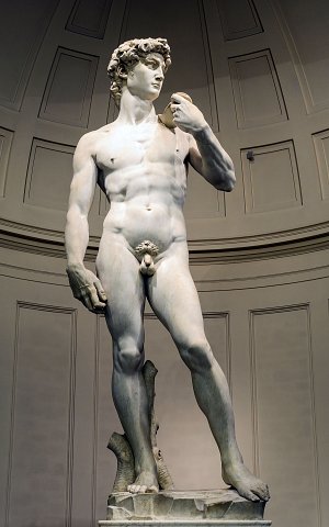 L'image représente la célèbre statue du David, sculptée par Michel-Ange au début du XVIe siècle. Il s'agit d'une œuvre en marbre qui mesure environ 5,17 mètres de haut. Le David est représenté nu, dans une posture de contrapposto, mettant en évidence les détails anatomiques et la musculature. Son expression faciale et son regard intense transmettent une certaine concentration, ce qui évoque le moment précédant son affrontement avec Goliath. La statue est souvent admirée pour sa beauté et son réalisme, et elle est considérée comme un chef-d'œuvre de la Renaissance. Elle est exposée à la Galerie de l'Académie à Florence, en Italie.